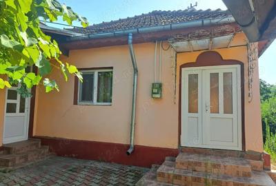 Casă cu 5 camere cu Teren 7900 Mp în Pleșcoi - 3