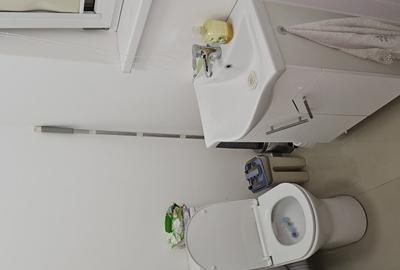 Casă cu 4 camere cu Teren 100 Mp în Theodor Pallady - 5