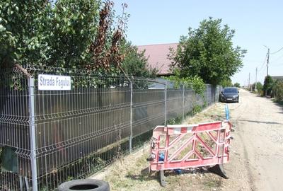 Domnesti-Teghes(Pinului) - 2