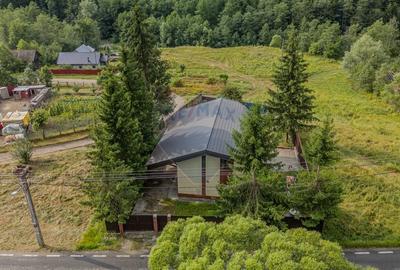 Casa de vacanta sau investitie turistica in Gresu - langa Lepsa - 12