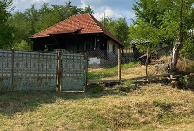 Casă cu 2 camere în Blahnița de Sus - 4