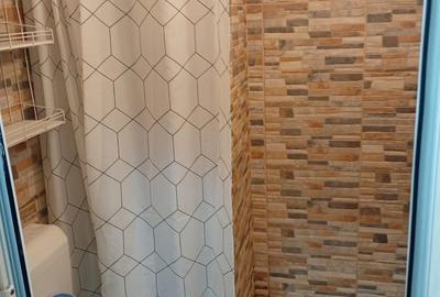 Garsonieră în Ultracentral - 4