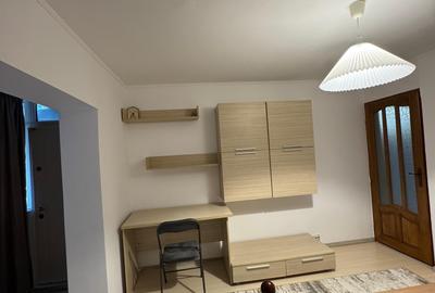 Apartament cu 2 camere decomandat în Craiovița Nouă - 7