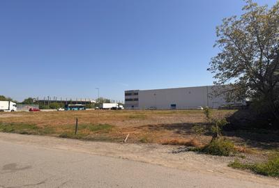 De vanzare - Teren intravilan de 5.223 mp Soseaua Odăi, Bucuresti De vanzare - Teren intravilan de 5.223 mp Soseaua Odăi, Bucuresti - 5