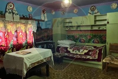 Casă cu 3 camere cu Teren 5472 Mp în Breb - 7