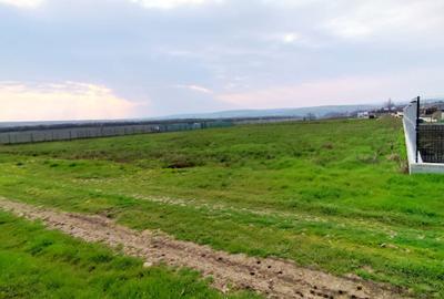 Spațiu comercial, în Central - 2