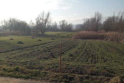 Teren de 800 mp, în Șelimbăr - 2