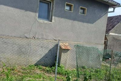 Casă cu 3 camere cu Teren 1000 Mp în Rusu de Sus - 3