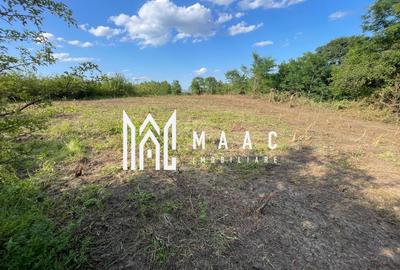 Oportunitate de Investiție Strategică | Teren Intravilan | Colonia Becas - 1