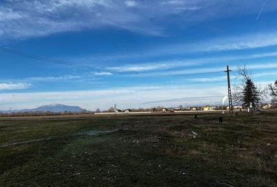 Teren de vanzare Sanpetru (soseaua de centura) - 2
