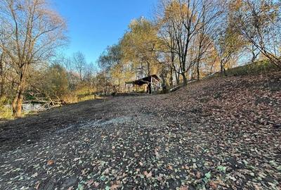 Teren cu balta de pescuit - 3