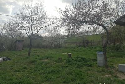 Casă cu 3 camere cu Teren 900 Mp în Sânmihaiu Almașului - 2