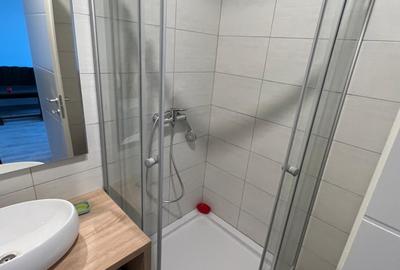 Apartament cu 2 camere, mobilat în Copou - 10
