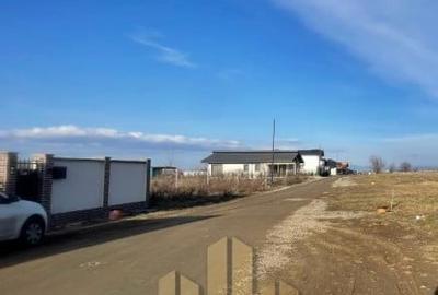 Teren Intravilan 500mp Cristian - 4