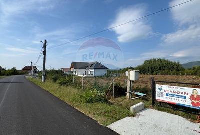 De vanzare Teren intravilan in Busag, ideal pentru casa ta! De vanzare Teren intravilan in Busag, ideal pentru casa ta! - 4