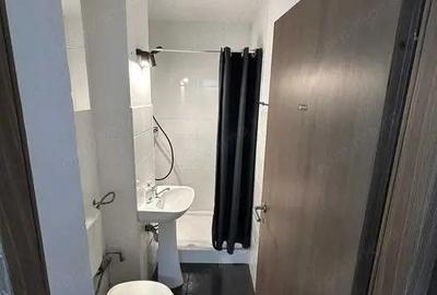 Apartament 1 camera decomandat zona Calea Dumbravii - 2