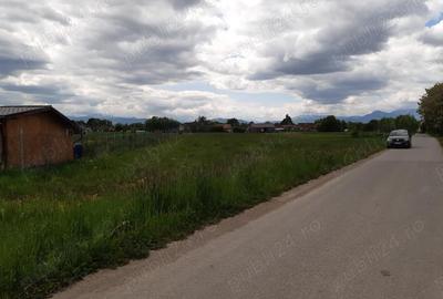 Teren de 2325 mp, în Tărlungeni - 4