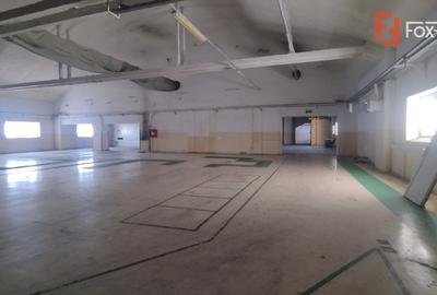 Spațiu industrial, de 11,507 mp, în Freidorf - 13