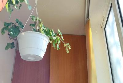 Apartament cu 2 camere semidecomandat în Central - 3