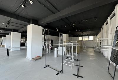 Spatiu comercial, parter, 375.6 mp utili, vitrina, zona Corneliu Coposu - 3