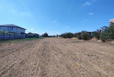 VANZARE TEREN INTRAVILAN  MAGURELE  2530 mp zona CODRULUI - 5