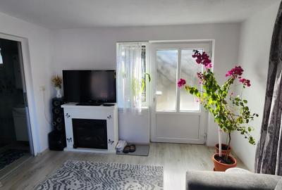 Casa 2 corpuri Poiana Marului - 7