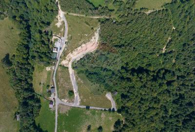 Teren de 15345 mp, în Șimon - 10