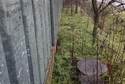 Casă cu 4 camere cu Teren 1450 Mp în Doba - 5