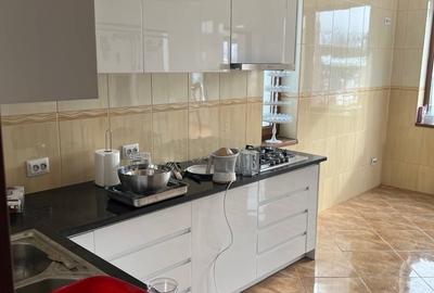 Moara Vlasiei, Particular, unica in zona, vila cu 9 camere, 7 bai, 2 garaje - 20