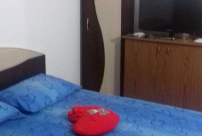 Apartament cu 2 camere decomandat în Olimp - 4