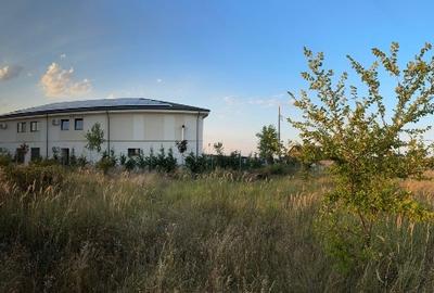 Teren intravilan de 5000 mp, în Cârcea - 3