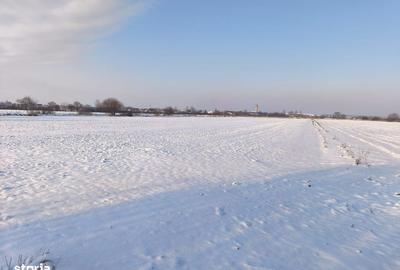 Teren de 8700 mp, în Central - 1