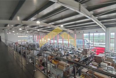 Showroom + hala | 5,100 mp teren Aradul Nou - 2