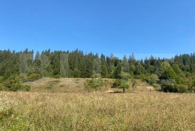 Teren de 1,4 h, zona Lunca Bradului - 3