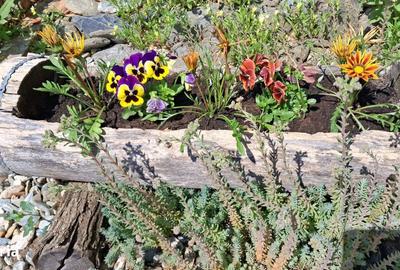 Spațiu comercial, de 270 mp, în Viștișoara - 6