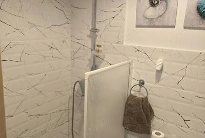 Garsoniera in spate la mall shopping city - 6