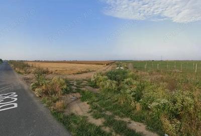 Teren de 325 mp, în Berceni - 3