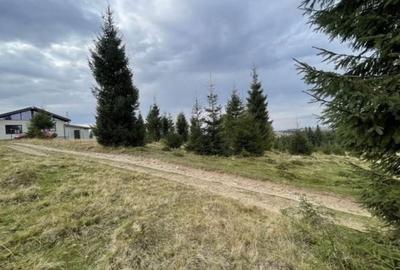 Teren de 2300 mp, în Beliș - 4