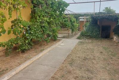 Casă cu 3 camere în Biled - 2