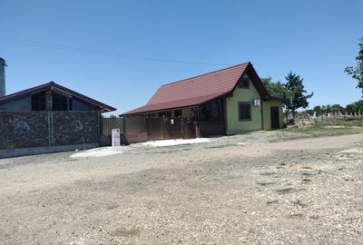 Spațiu comercial, de 120 mp, în Fibiș - 16