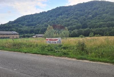 Teren extravilan, 2500 mp, Rasnov, Glajarie - 6