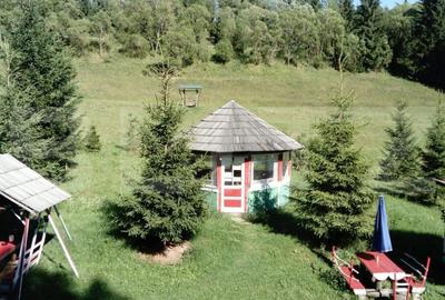 Ocazie unica! Cabana 180 mp utili, teren 32000 mp, Vatra Dornei - 3