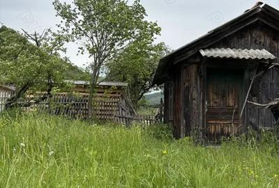 Casă cu 2 camere cu Teren 3350 Mp în Munteni - 9