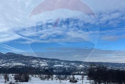 Teren extravilan de 10054 mp, în Mănăstirea - 1