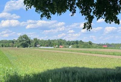 Teren extravilan, 4000mp, Fratautii vechi - 2