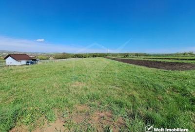 Teren Intravilan, Tureni - 1