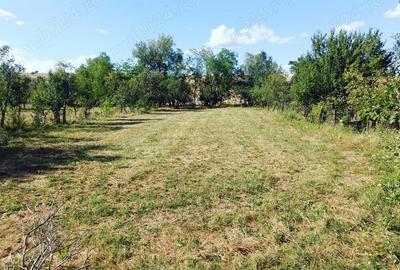 Casă cu 4 camere în Central - 5