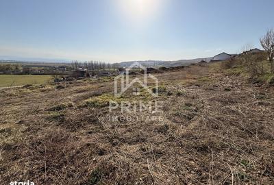 Teren de 5600 mp, în Cetate - 2