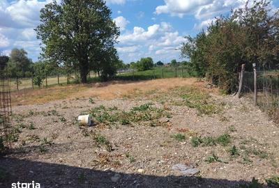 Casă cu 2 camere cu Teren 100 Mp în Bethausen - 4