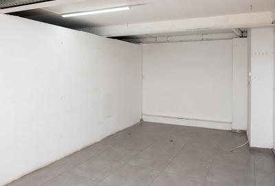 Spatiu Comercial Satu Mare - 8